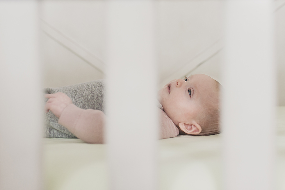 long island in home newborn session