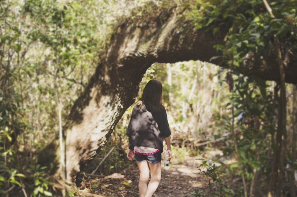 Hemlock Hike Florida