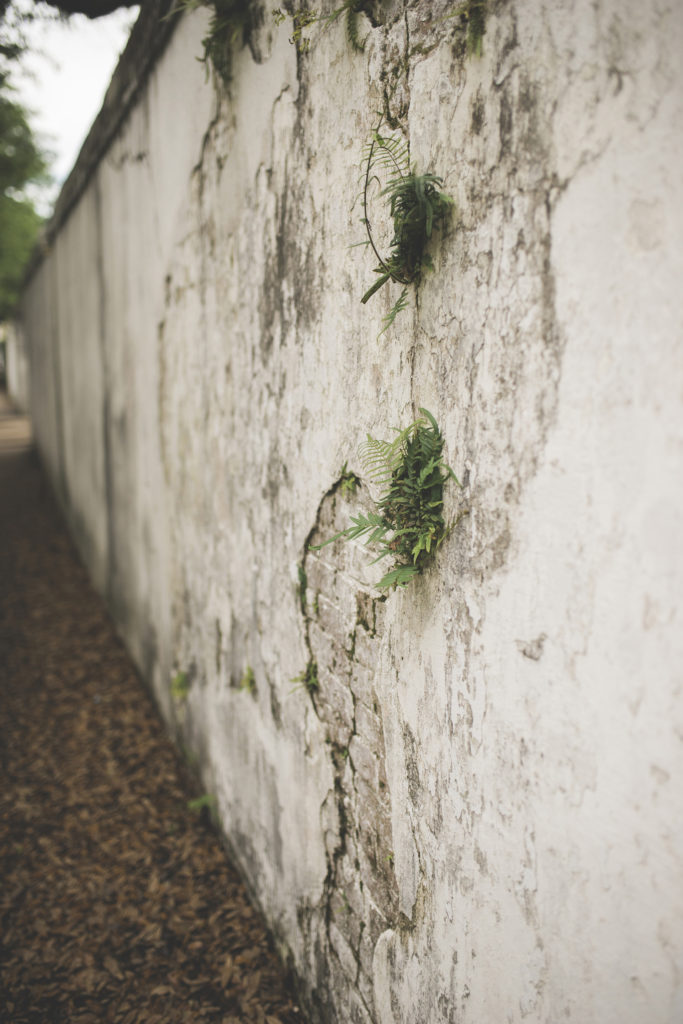 Texture and age on a New Orleans Wall