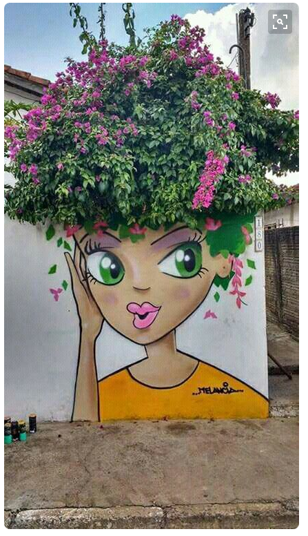 street art in Brazil 