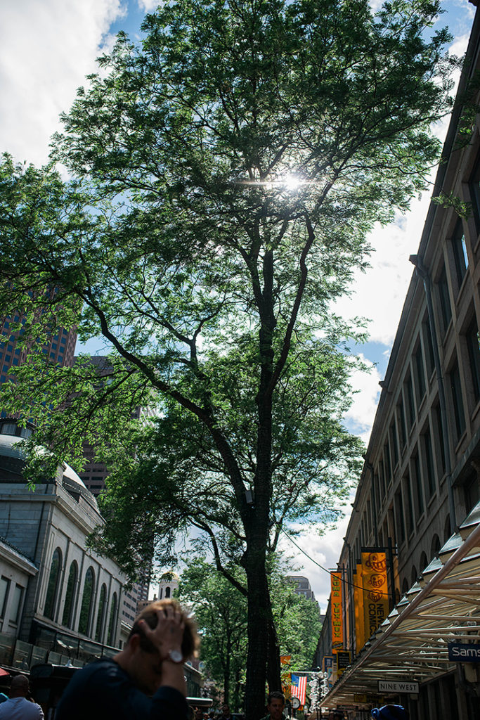 Travel Photography Quincy Market