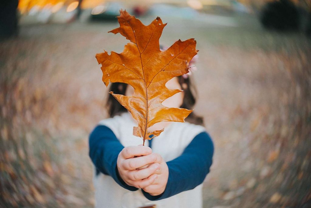 Long Island Family Photographer artistic shot with lens blur