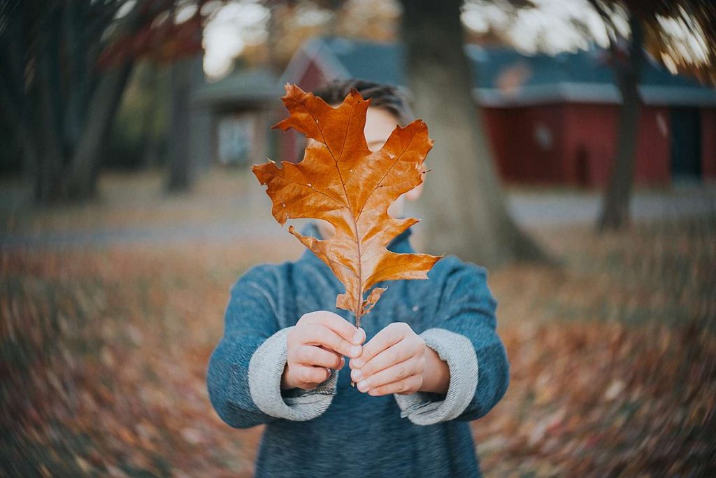 Long Island Family Photographer giant fall leaf
