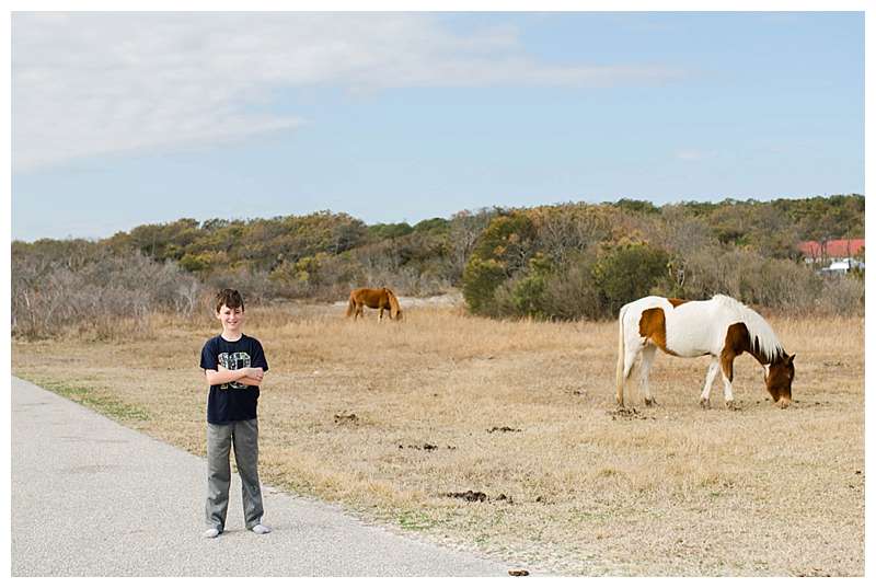 Assateague National Seashore Travel Photography ponies get close