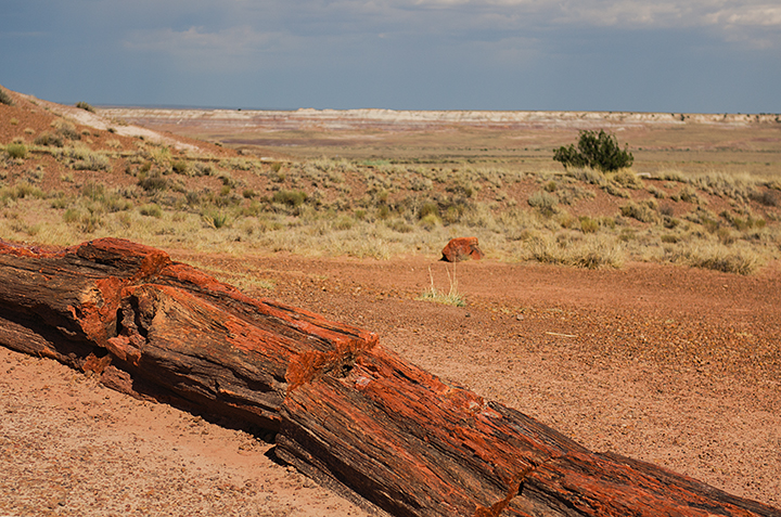 Petrified Forest National Park Arizona