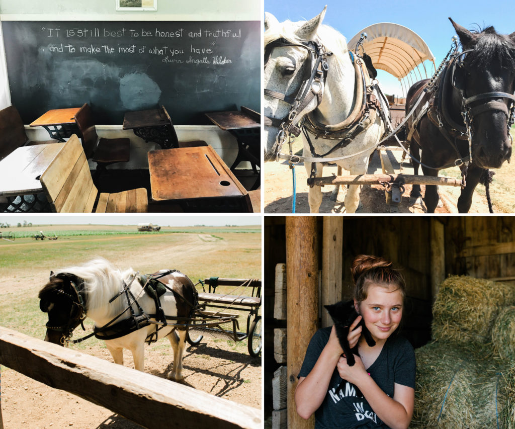 Ingalls Homestead South Dakota horses and kittens