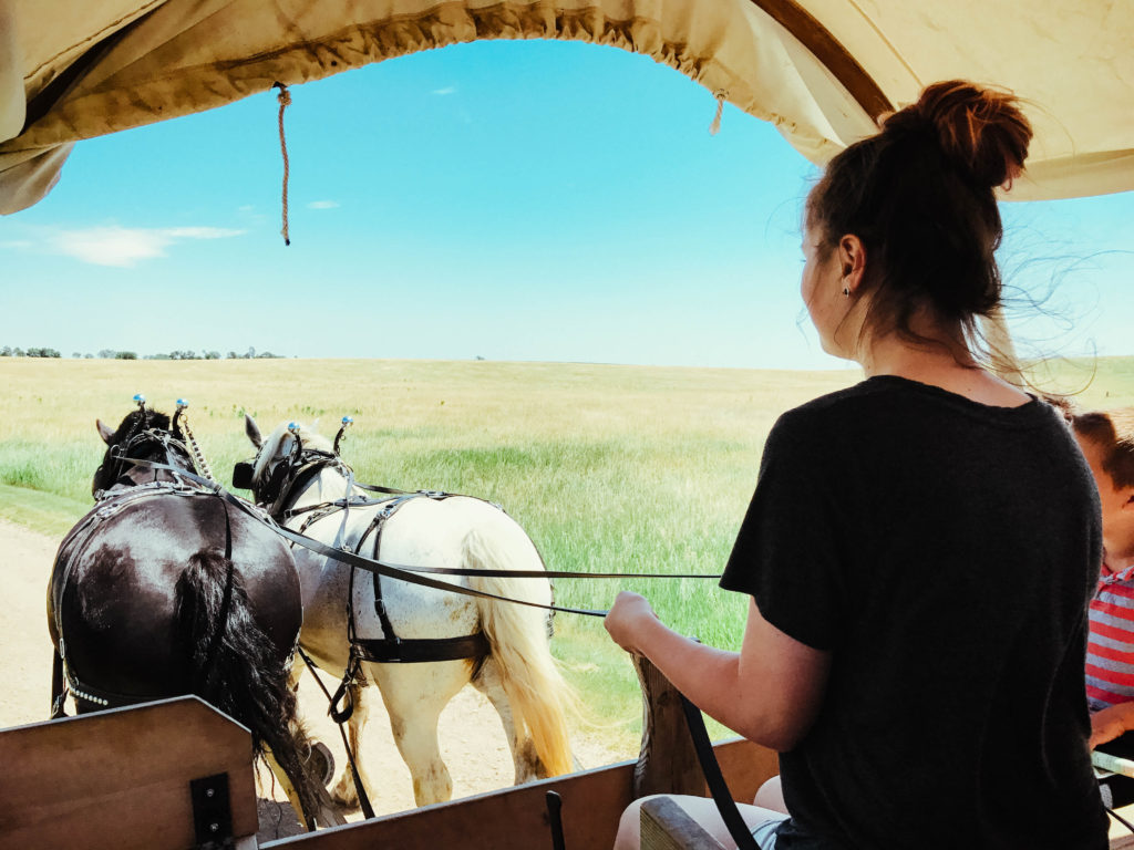 Lana driving covered wagon