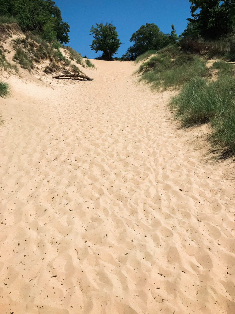 Indiana Dunes State Park and National Lake Shore sand dune