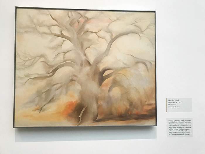 Georgia O'Keeffe Museum Sante FE NM