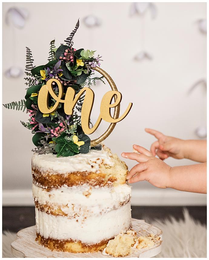 Long Island Boho Cake Smash new york