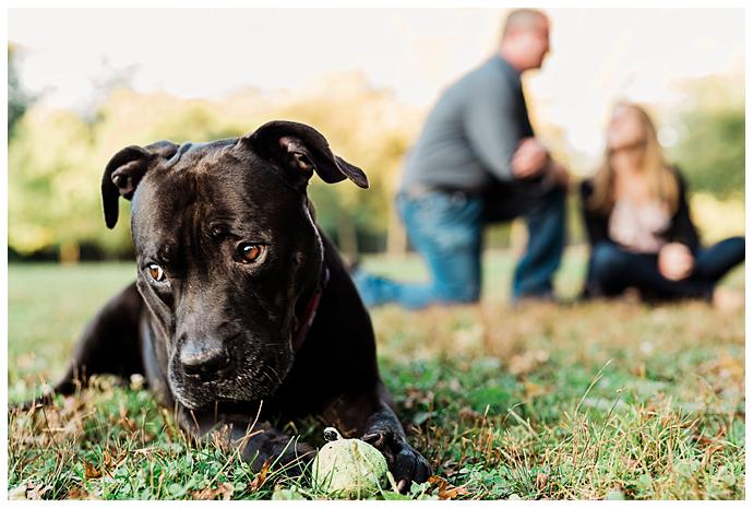 Ally Pond Park Couple with dog photos rescue dog