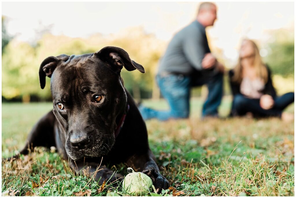 Leslie Renee Photogrpahy Best of 2019 fur family 