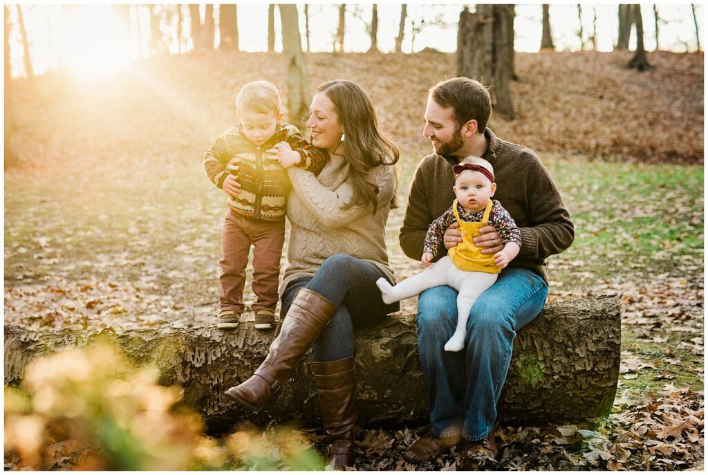 Leslie Renee Photogrpahy Best of 2019 family on a log