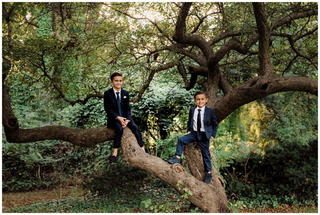 Formal Family Portraits Denver Boulder on a tree