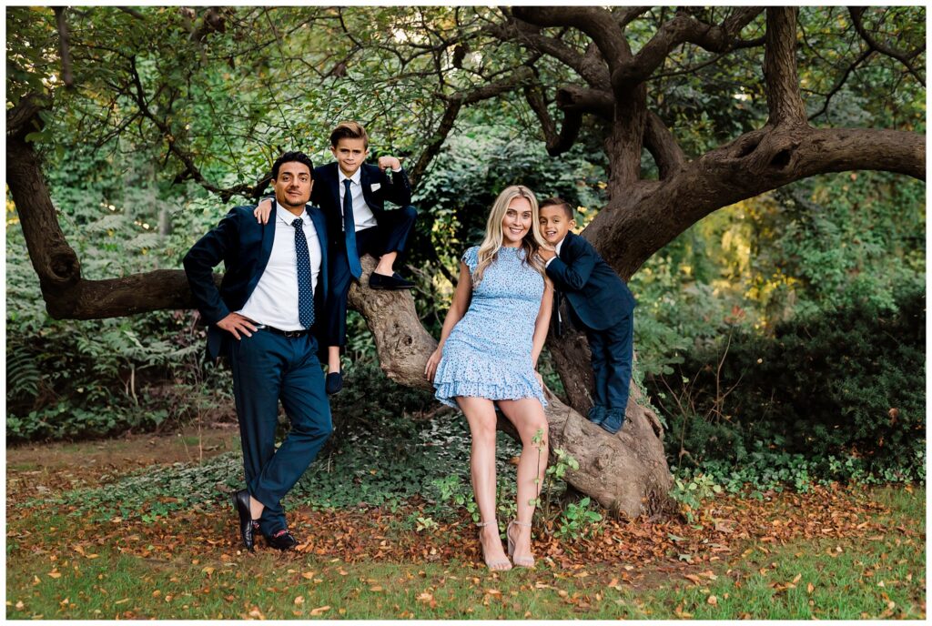 Formal Family Portraits Denver Boulder tree pose