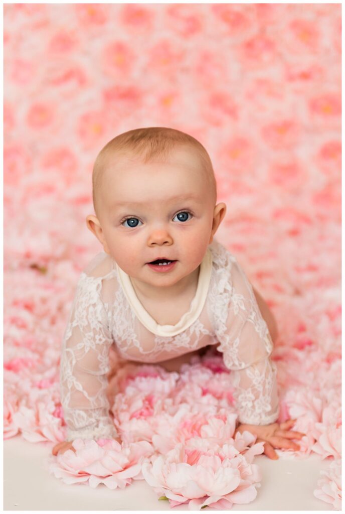 Boulder Baby Photographer flower wall