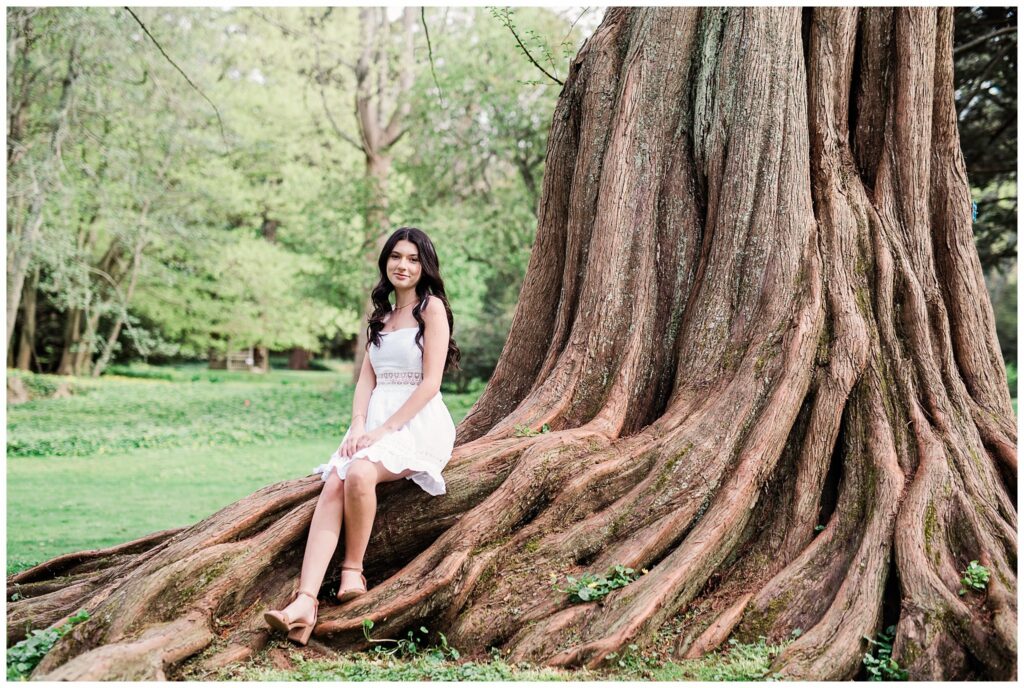 Boulder Denver Family Portraits cool tree