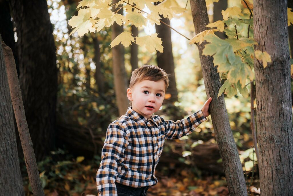 Massapequa Preserve Family Photos toddler boy