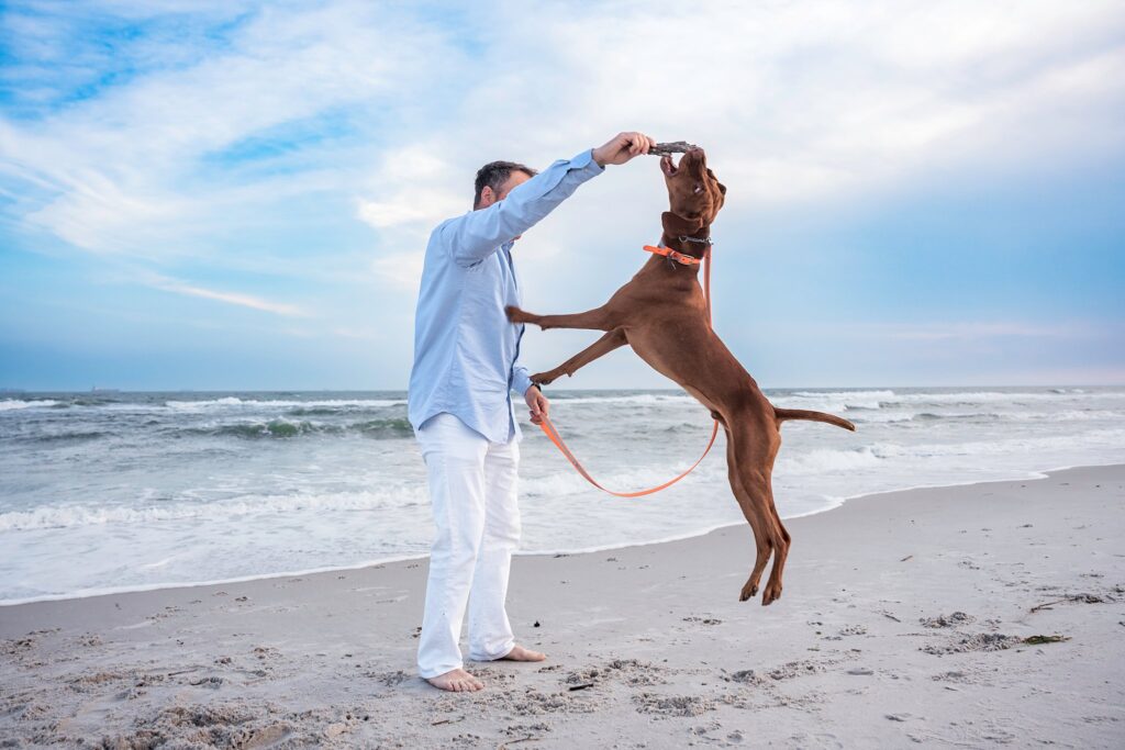 dog portraits Long Beach Long Island dog jumps