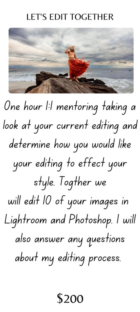 Leslie Levine Photographer Mentoring editing