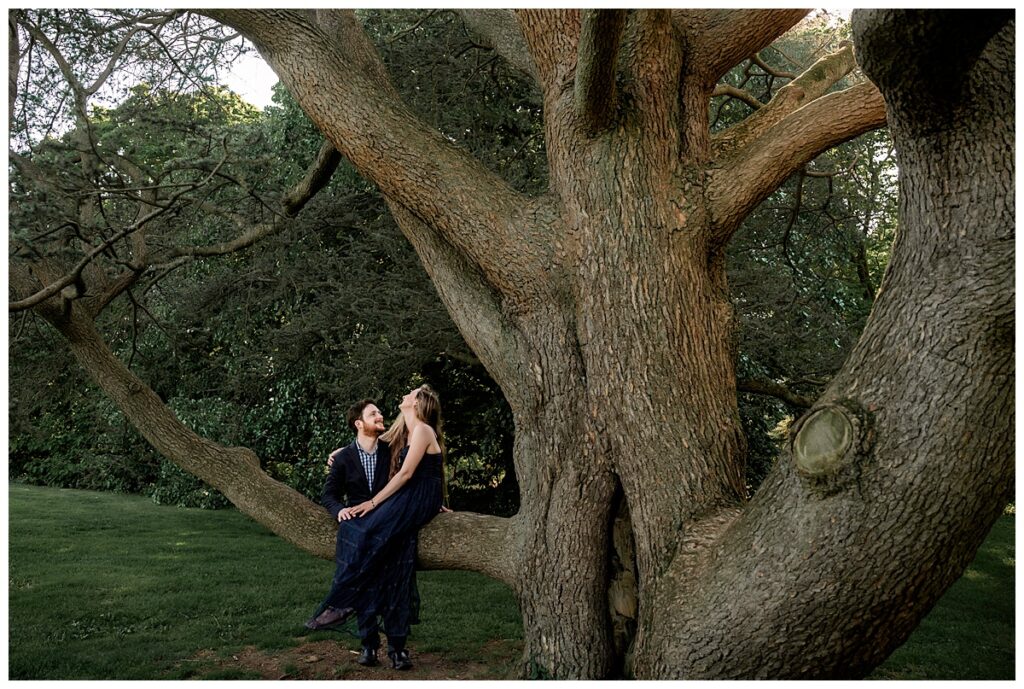 Leslie Levine Photography Best of 2022 big tree