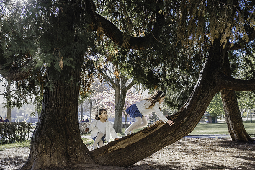 Special Springtime Girl Mom Photos in Paris climbing a tree